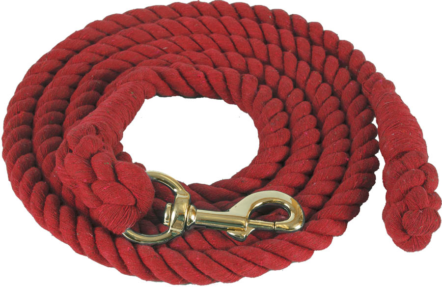 Lead Rope 10 Foot Cotton with Brass Plated Bolt Snap White 