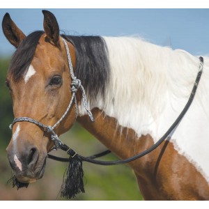 Deluxe Bitless Bridle