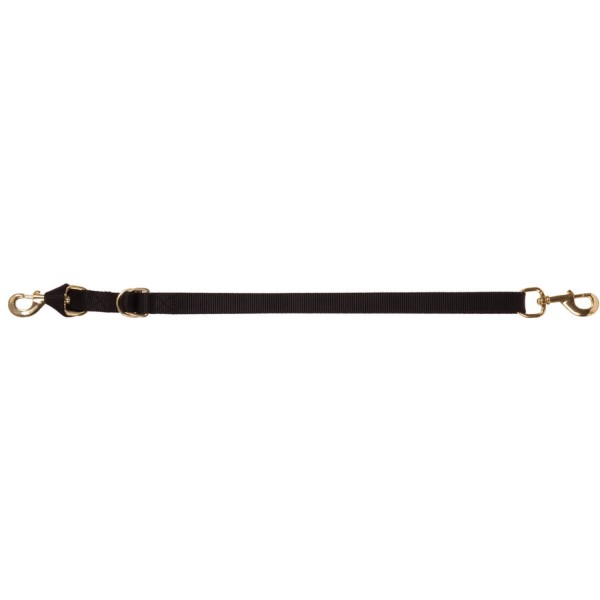 Nylon Tie Down with Brass Plated Hardware