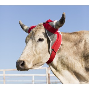 “The Stinger” Mustang Horn Wrap