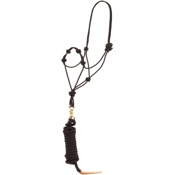 Training Halter with Horsemanship Lead | Mustang Manufacturing